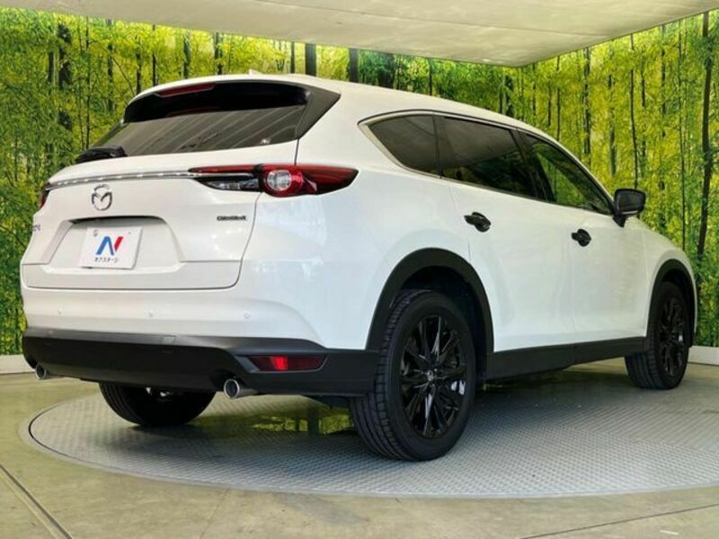 CX-8-17