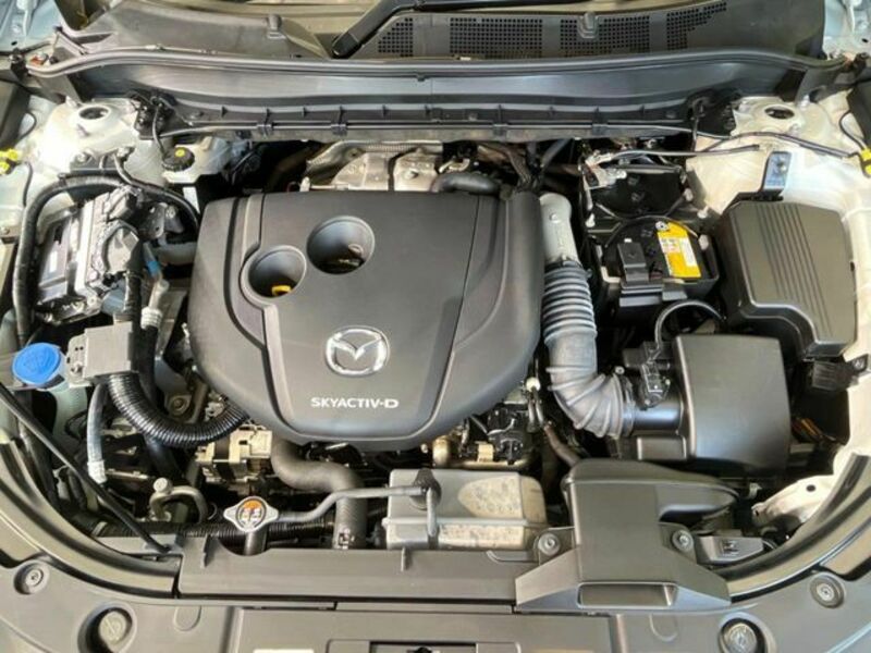 CX-8-18