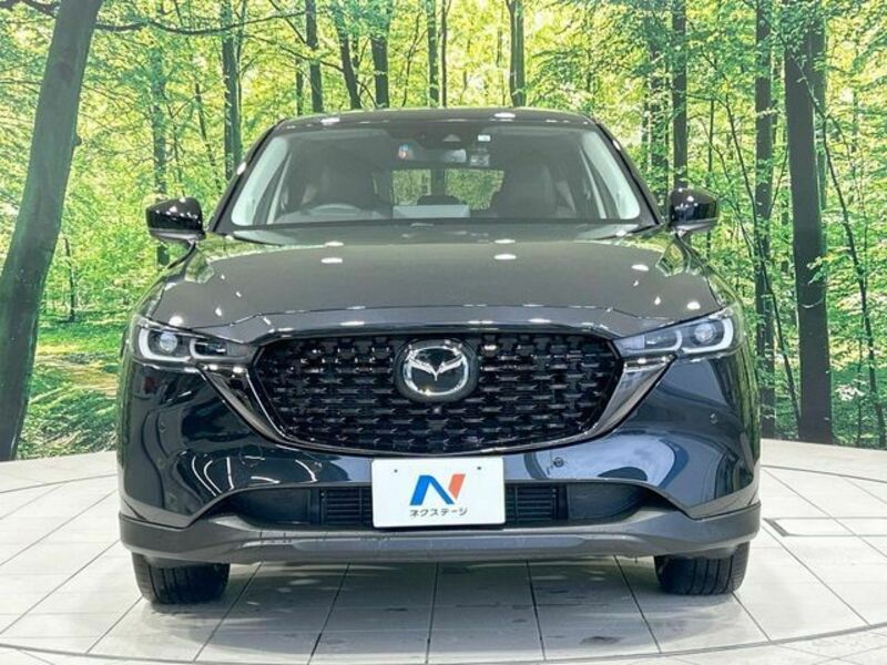 CX-5-13