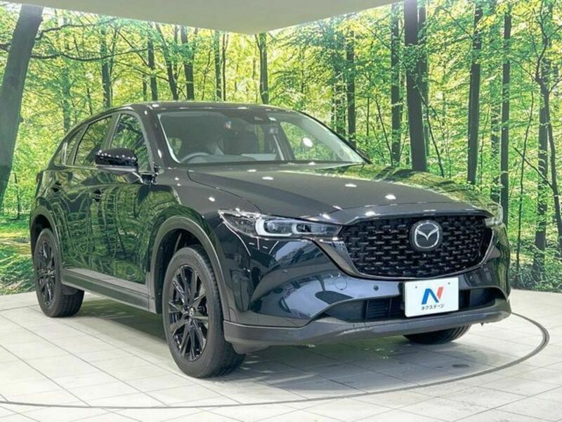 CX-5-15