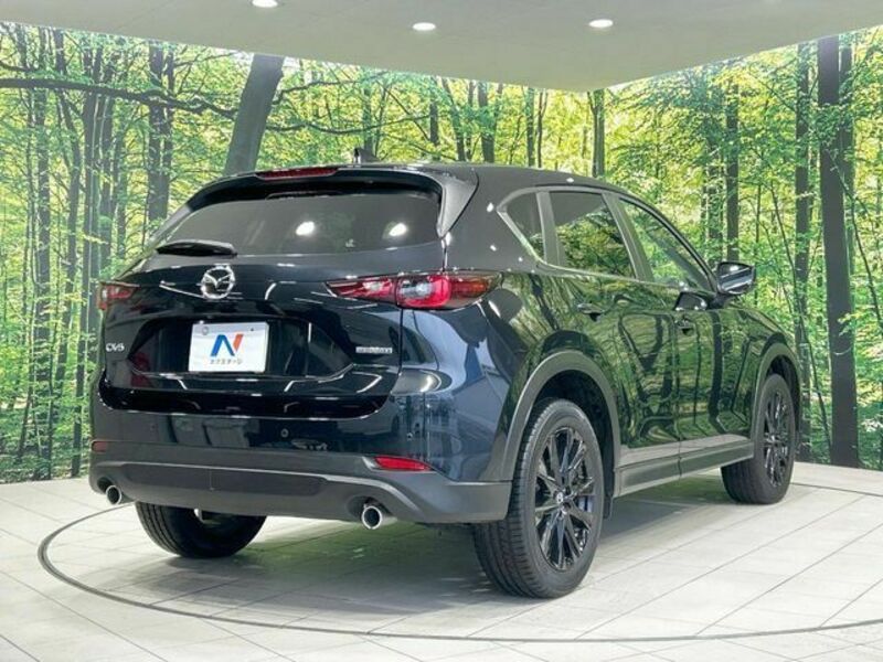 CX-5-16