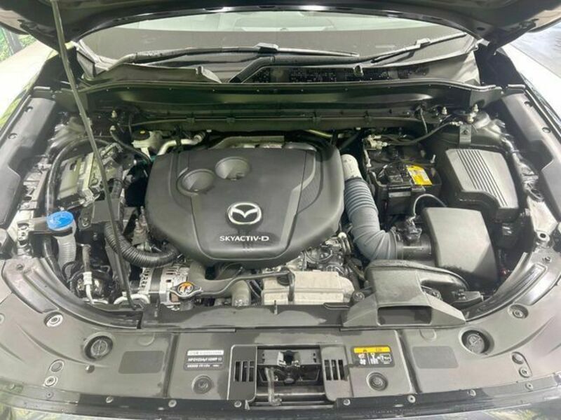 CX-5-17