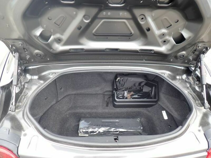 ROADSTER RF