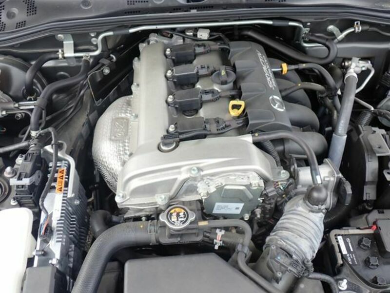 ROADSTER RF
