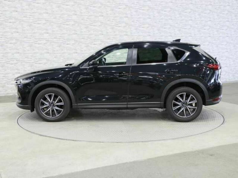 CX-5-11