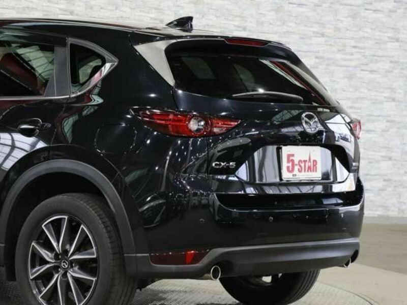 CX-5-19