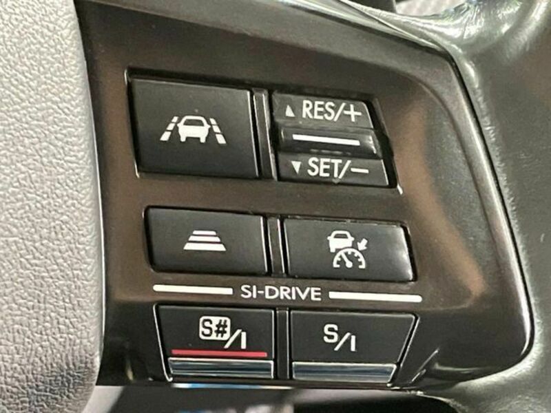 LEVORG-4