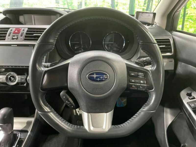LEVORG-10