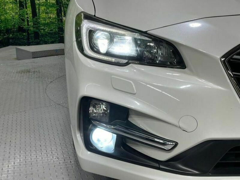 LEVORG-11