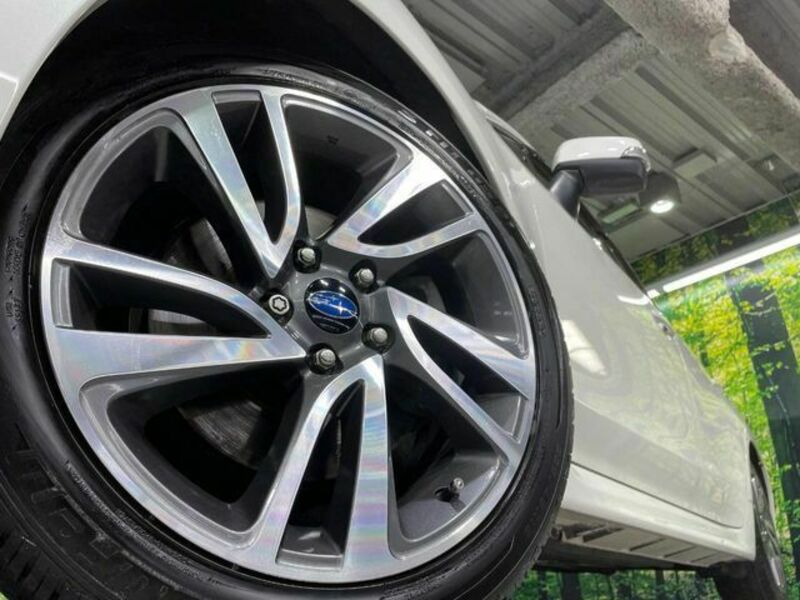 LEVORG-12