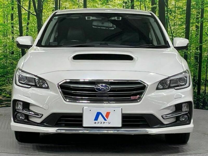 LEVORG-13