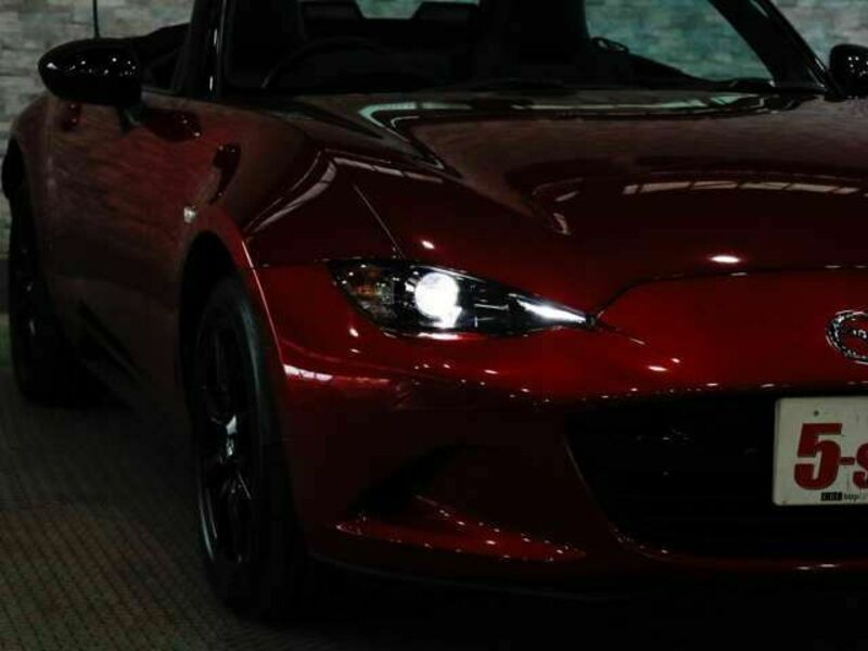 ROADSTER