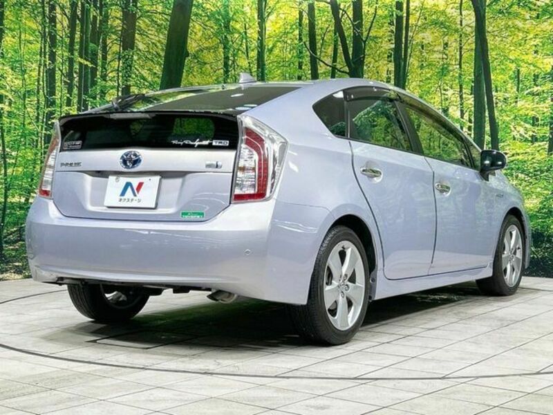 PRIUS-16