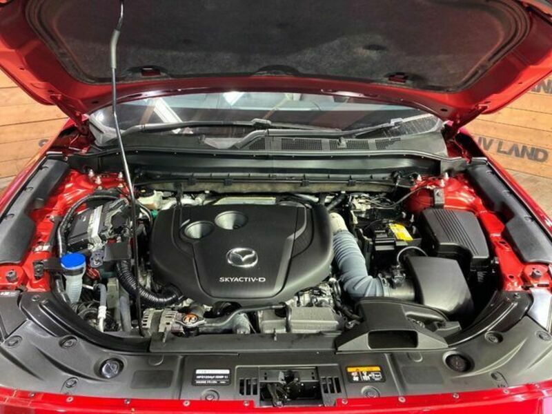 CX-5-17