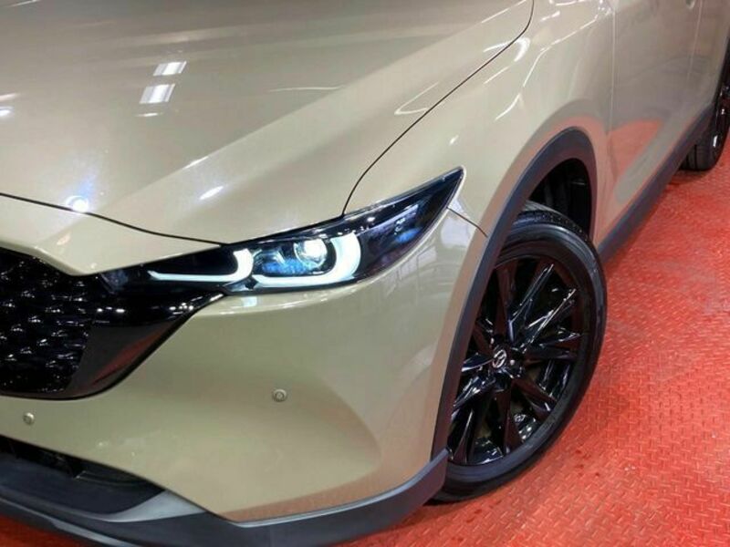 CX-5-11