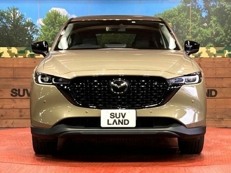 CX-5-13