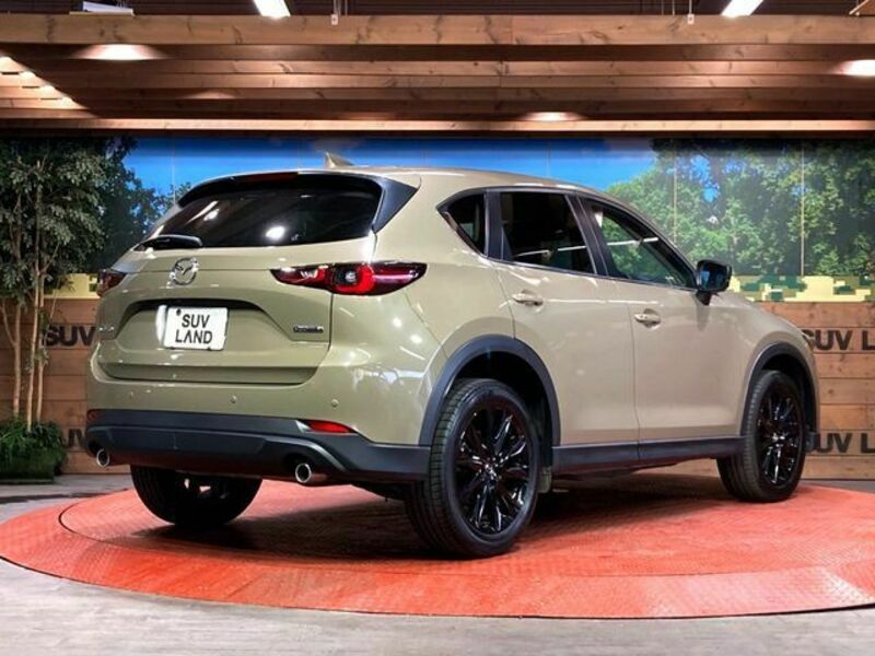 CX-5-16