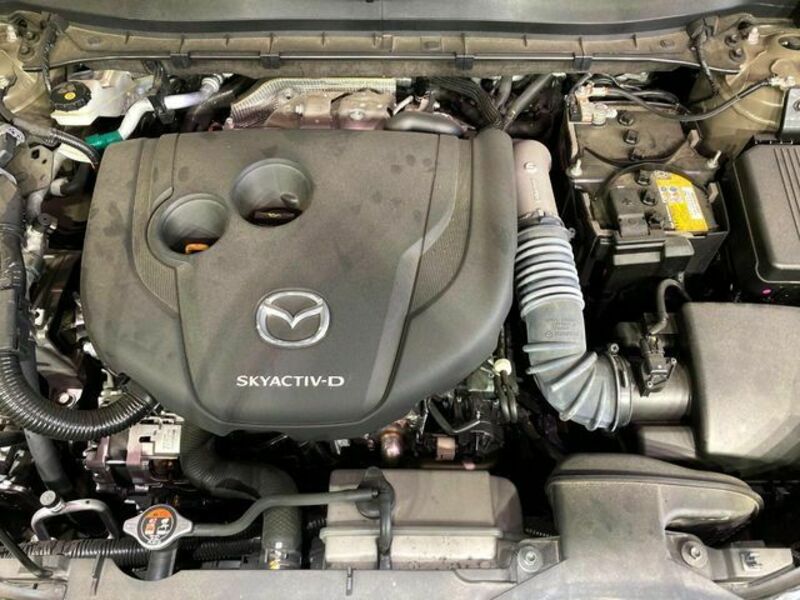 CX-5-17