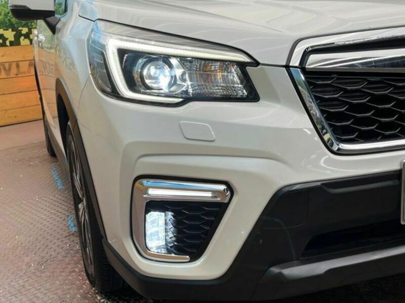 FORESTER-13