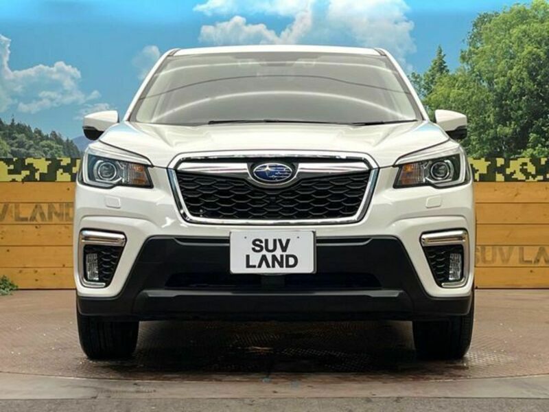 FORESTER-15