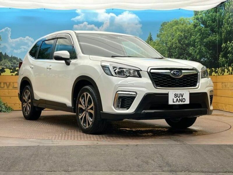 FORESTER-17