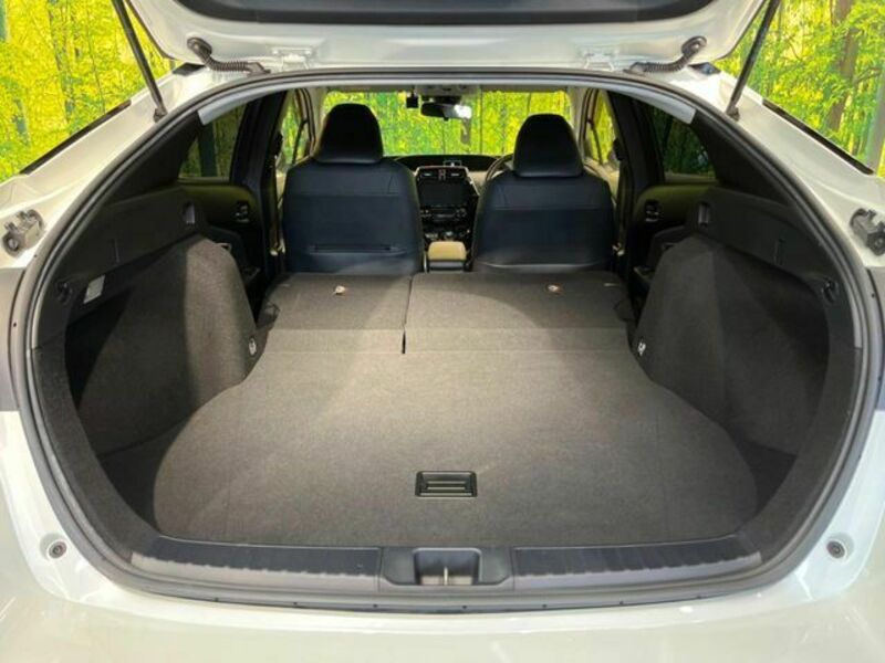 PRIUS-9