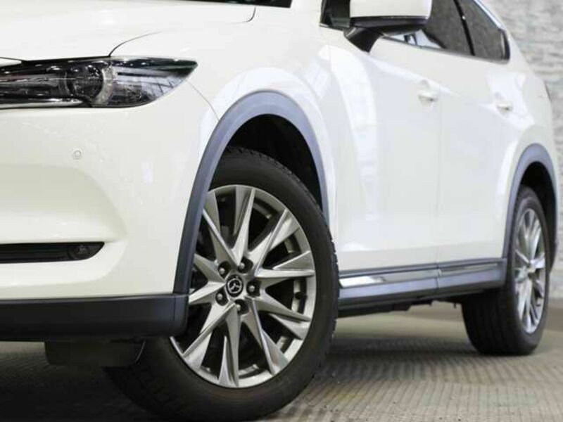 CX-8