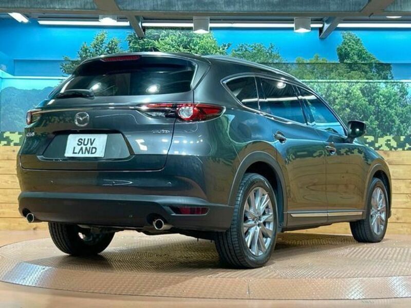 CX-8