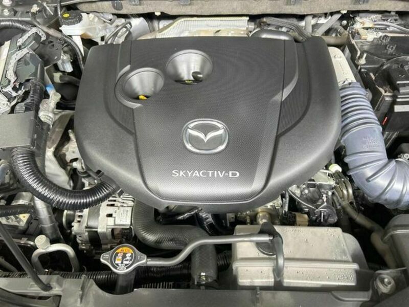 CX-8