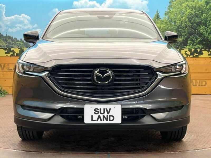 CX-8-13