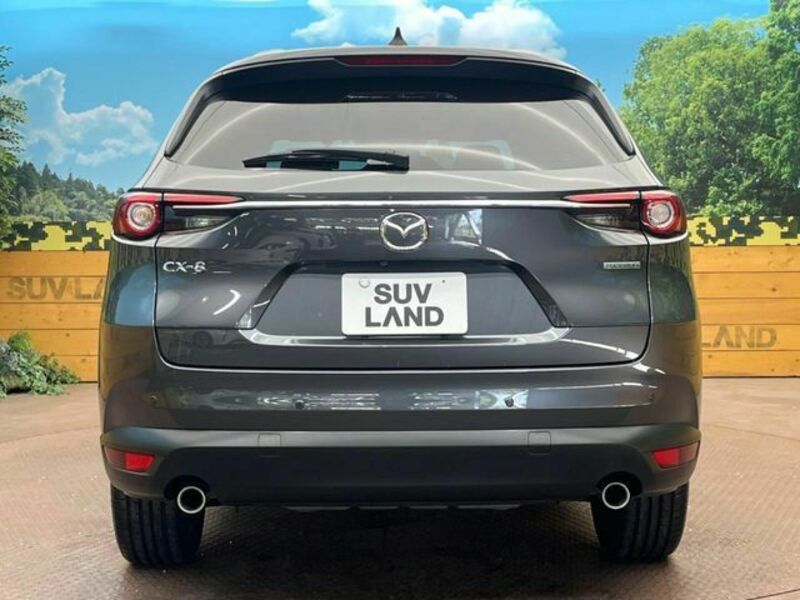 CX-8-14