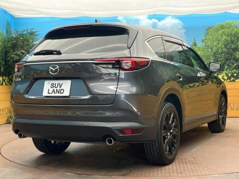 CX-8-16