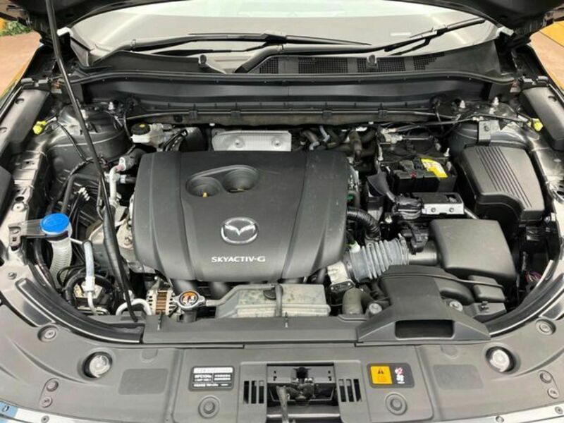 CX-8-17