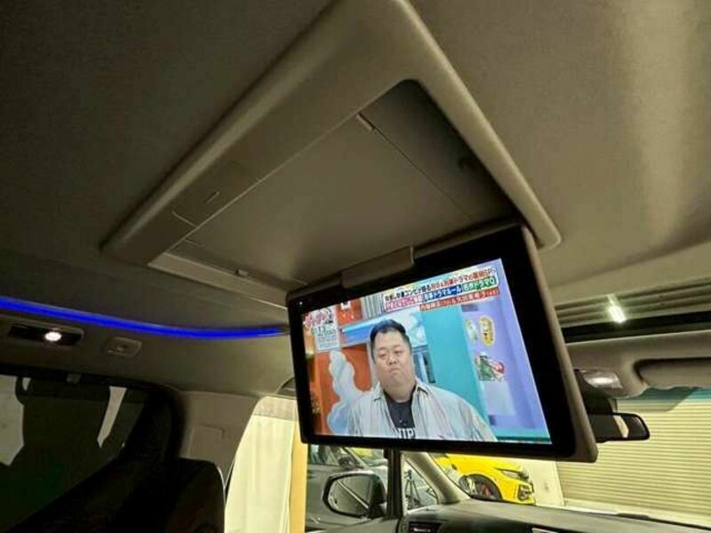 ALPHARD-14