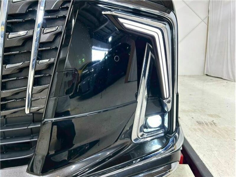 ALPHARD-31