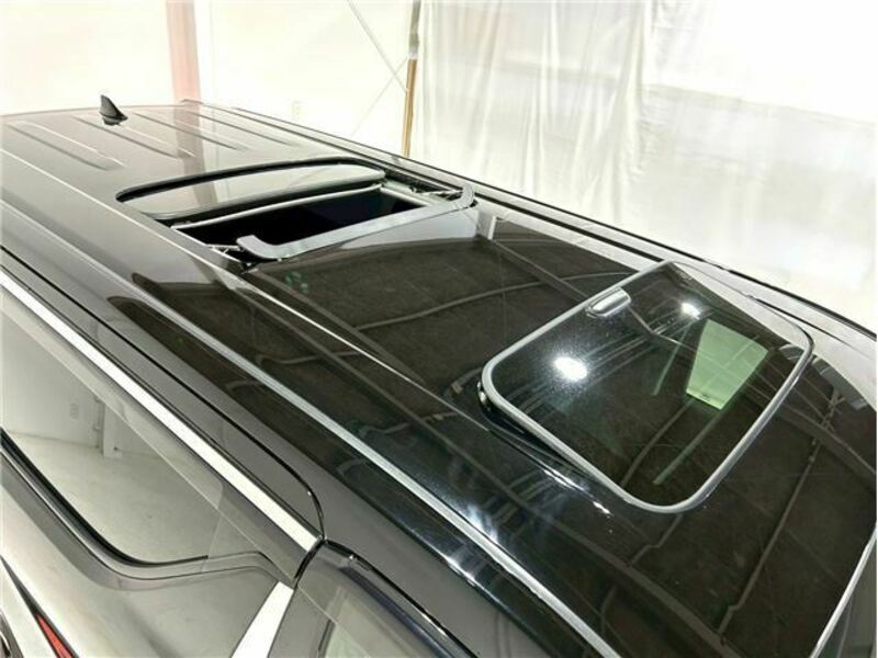 ALPHARD-36
