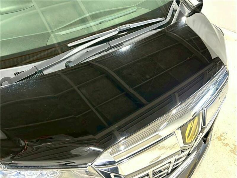 ALPHARD-37