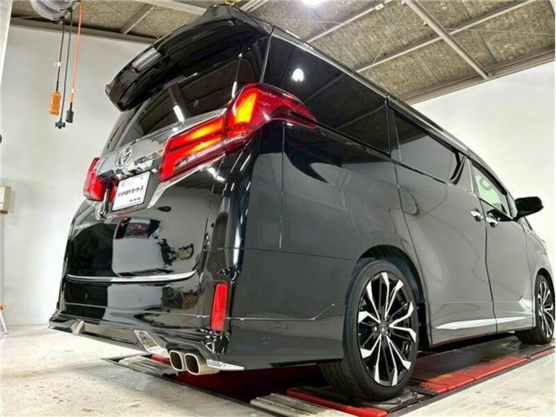 ALPHARD-43