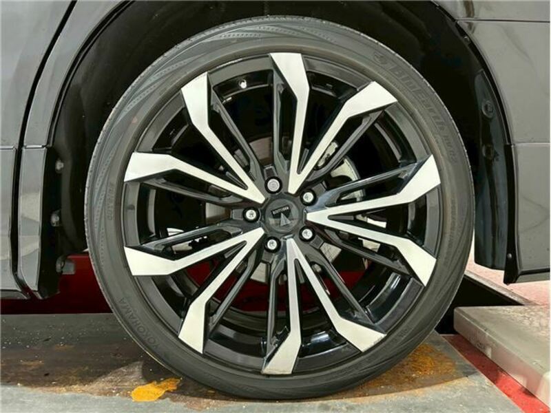 ALPHARD-46