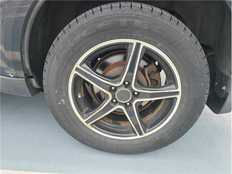 FORESTER-11