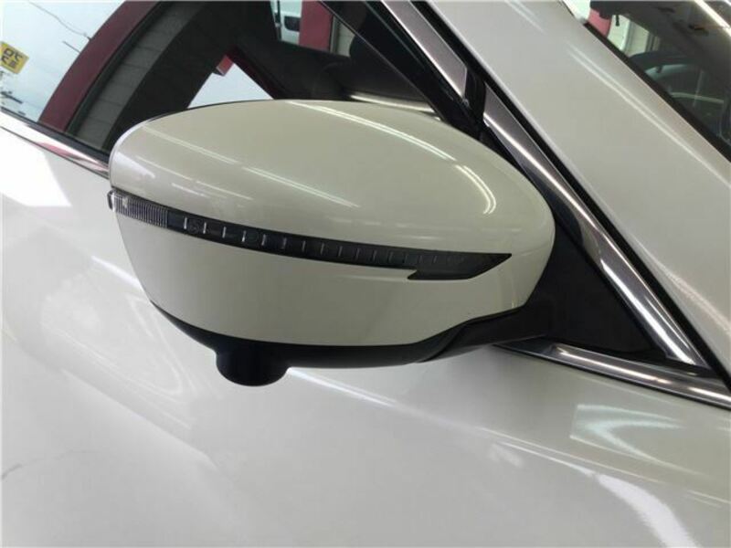 X-TRAIL-42