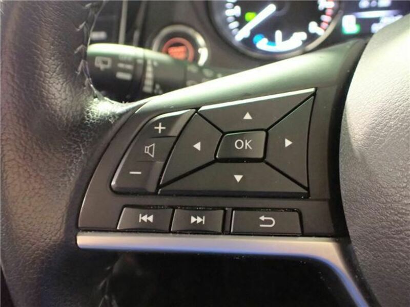 X-TRAIL-19
