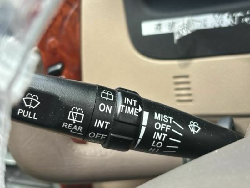 IPSUM
