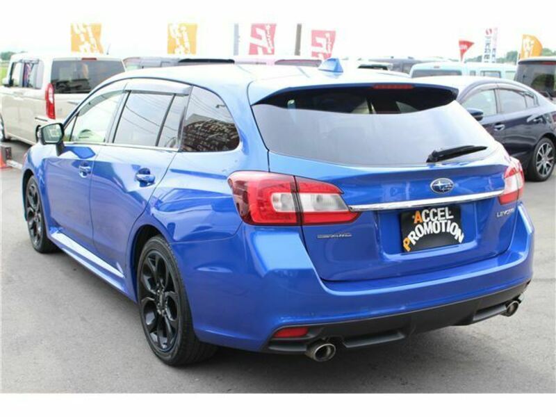 LEVORG-1