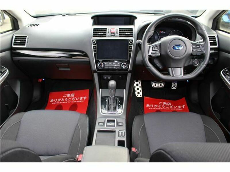 LEVORG-2