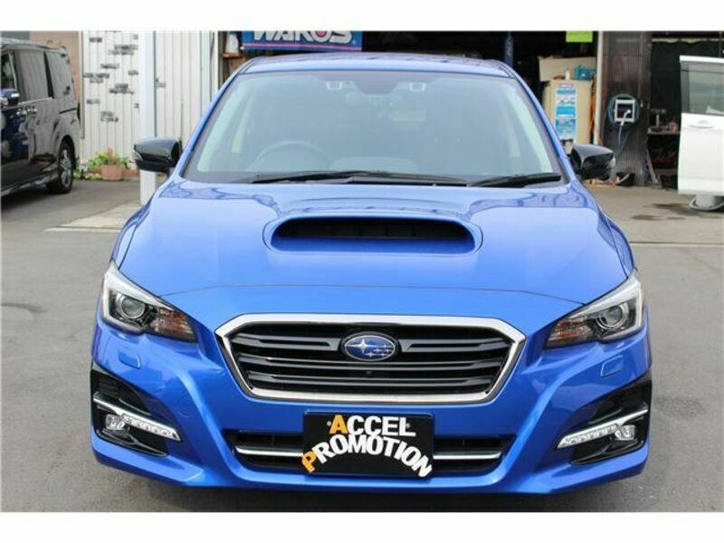 LEVORG-3