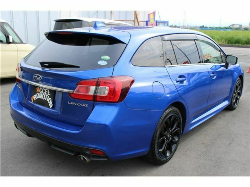 LEVORG-5