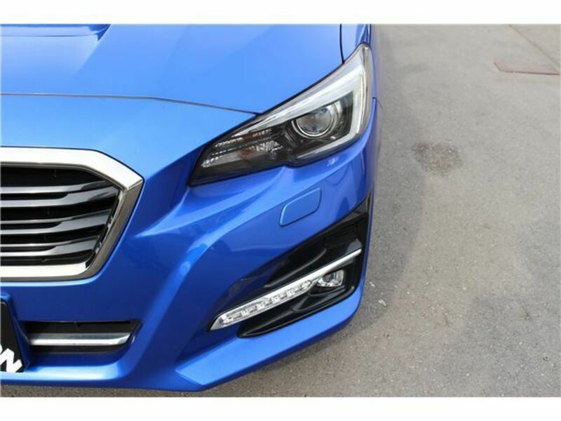 LEVORG-13