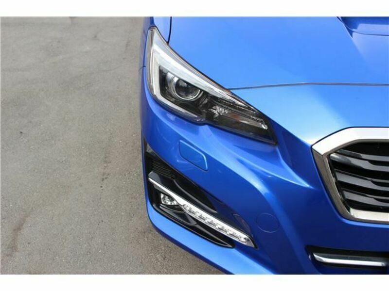 LEVORG-15