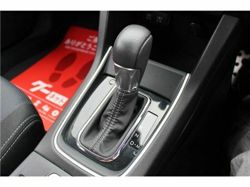 LEVORG-41